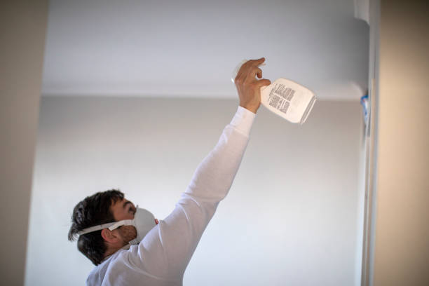 Professional Mold Removal in Peachtree City, GA