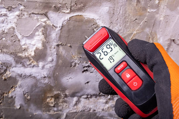 Best Commercial Mold Removal  in Peachtree City, GA