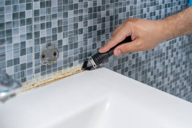 Best Attic Mold Removal  in Peachtree City, GA