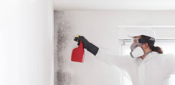 Best Residential Mold Removal  in Peachtree City, GA