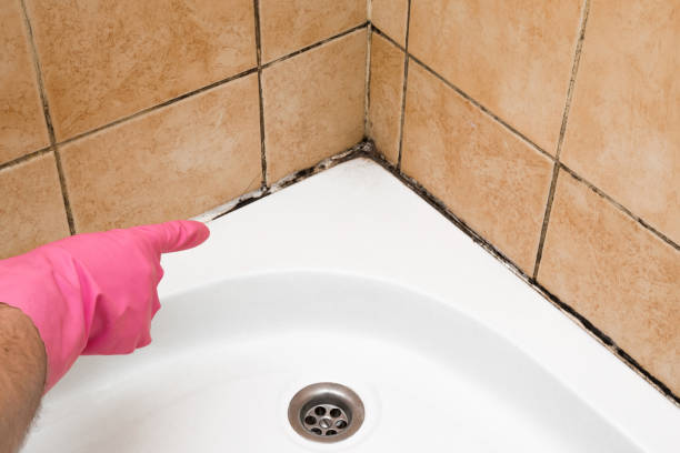 Best Mold Removal Near Me  in Peachtree City, GA